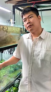 Dau Aquarium on Reels