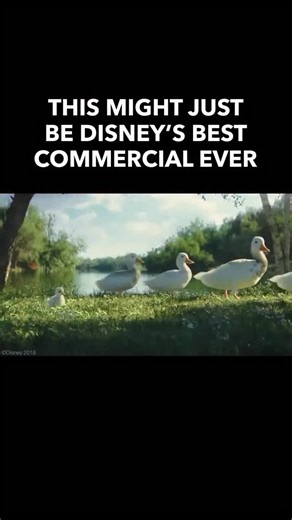 1.7M views · 29K reactions | That little duck still gets me every time 閭凉 “The Little Duck” is one of Disney's most beloved and emotional commercials. Released in 2018, the short film tells the touching story of a little duckling who discovers a comic book featuring Donald Duck and instantly looks up to him as a hero ❤️. • • • #disneylandparis #dlp #disneyparks #disneyfan #disneyig #disneygram #disneylove | The DIS | Facebook