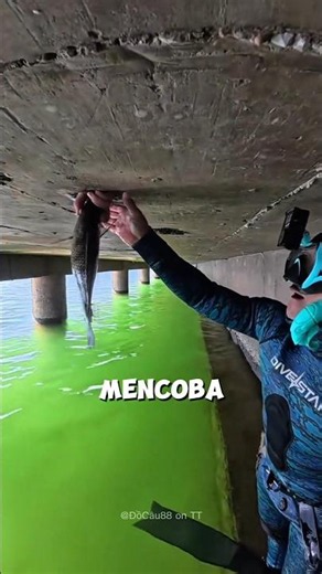 This Guy Is Messing With The Fisherman So Bad 😂🎣
