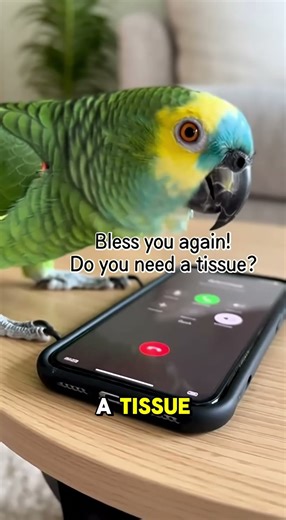 Telemarketer Calls… Parrot Thinks She Sneezed 🤧🦜😂