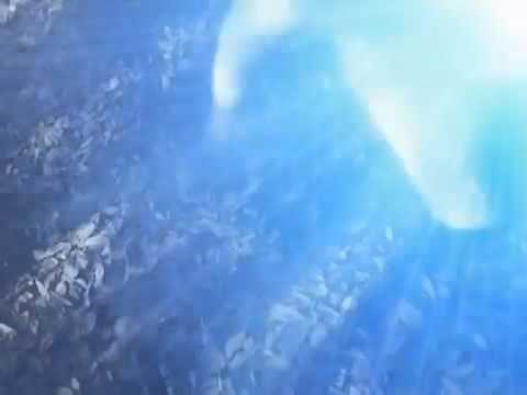Ultraman Nexus Ep 37 Eng Sub