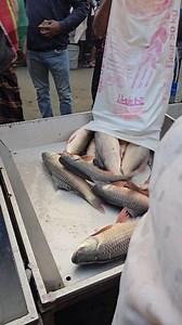 Live Fish Market #reels #fishing #trending #fish | Meat Cutting & Fish