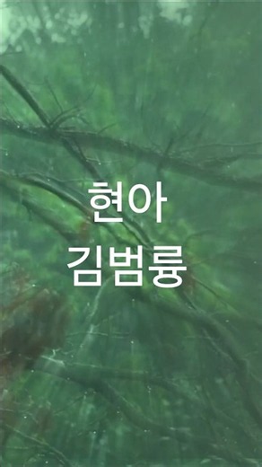 #김범룡 #현아 #musiccut #musicshorts #7080노래 #80년대가요 #추억의노래 #감성음악 #레전드명곡 #shorts