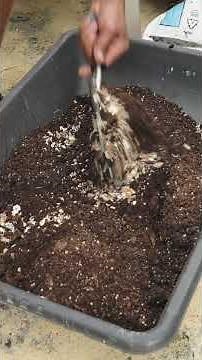 How to make compost at home