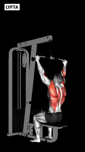 Full Pull Day Workout for Back and Biceps