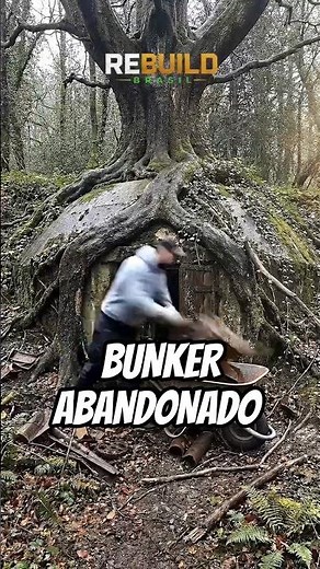 Would you have the courage to enter an abandoned bunker hidden under giant roots?
