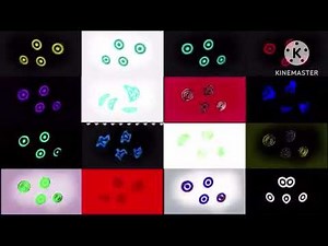 16 Target Logo Animation V2