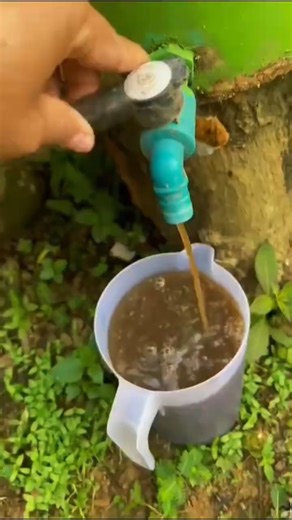 Stop throwing away your kitchen scraps