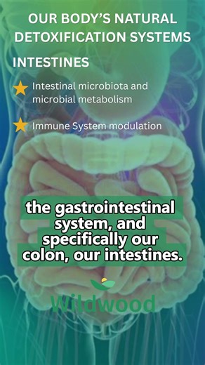 Colon Cleansing Secrets: How Your Gut Removes Toxins
