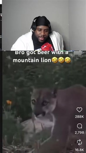 The Humor in Black Culture: A Lighthearted Perspective