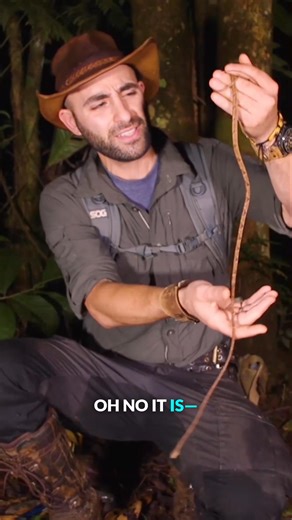Blunthead snake says 👁️👅👁️ #howcool #snakes #nature #coyotepeterson | Coyote Peterson