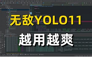 【YOLOv11】一小时掌握！从0开始搭建部署YOLOv11，环境安装 推理 自定义数据集搭建与训练，草履虫听了都点头！（深度学习丨计算机视觉丨YOLO）