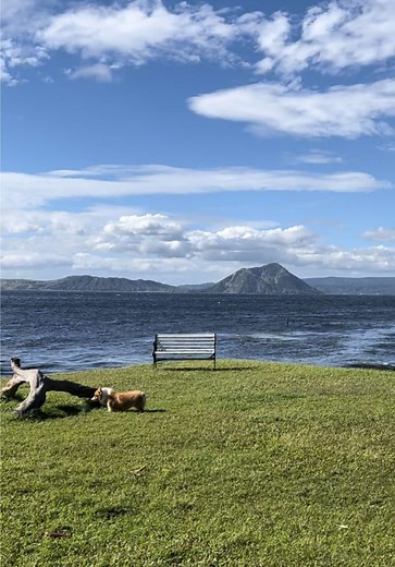 Pet-Friendly Parks in Tagaytay: Discover Taal Lake Park
