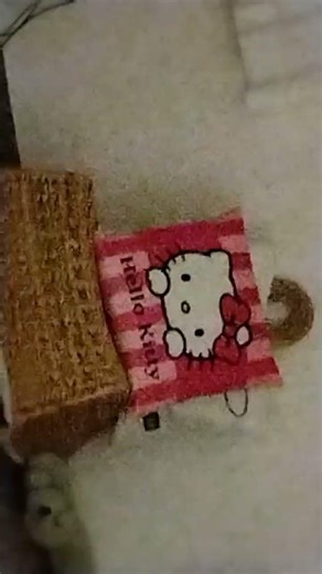 dann mache ich eine Verlosung für euch in roblox fann treffen 700 Player