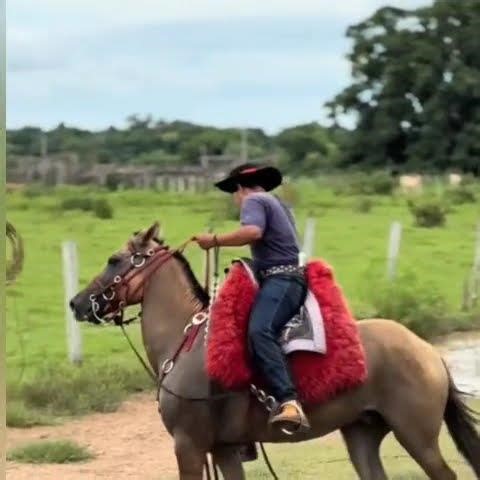 16 de janeiro de 2026