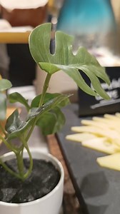 7.6K views · 14 reactions | Create your perfect charcuterie board...