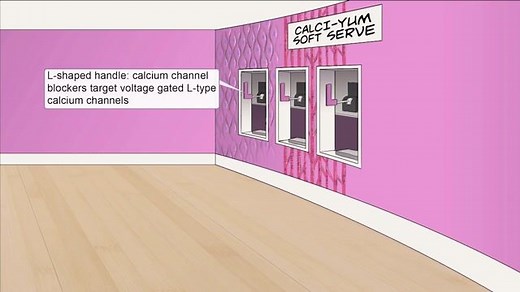 Calcium channel blockers - Free Sketchy Medical Lesson