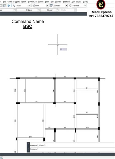 Auto-Draft Beam Section Type 1 l RcadExpress Tutorial