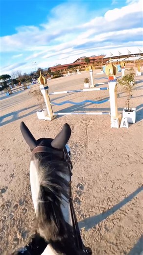 Giacomo Bassi on Instagram: "My horse Milles did some crazy turns! #showjumping #horsesofinstagram #equestrian #equitation #horseriding"