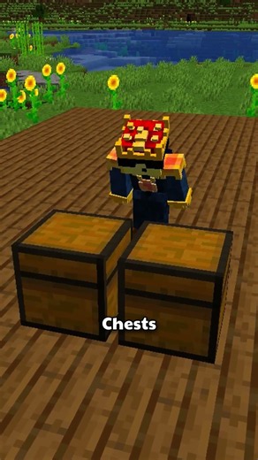 Hide Diamonds Here #minecraft