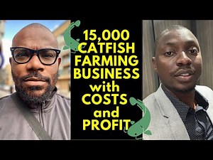 How to start 15,000 Catfish Farming in Nigeria with Costs and Profit