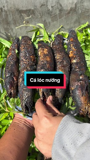 Cá Lóc Nướng Ngon Tuyệt Hảo