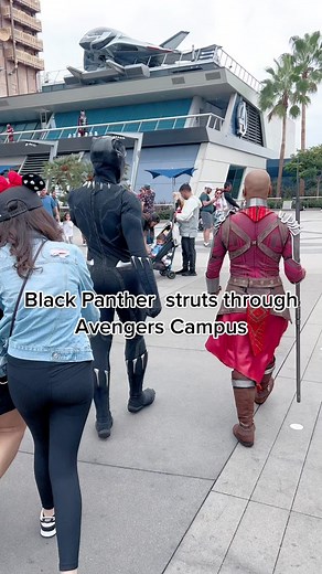 The Arrival of the King: Black Panther at Avengers Campus | California Adventure