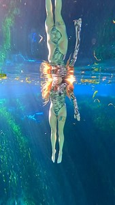 Water color springs 🥰🩵💙💚 Camera @gopro 12 #underwater #freediver #freediving | Coralia Dives