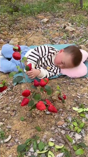 Cool Items!🥰Growing strawberries with cola #shor