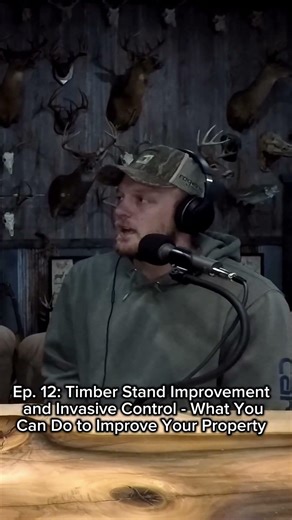 Your property probably needs Timber Stand Improvement #tsi #landmanagement