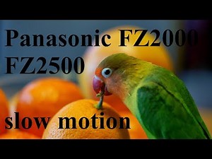 Panasonic FZ2000 / FZ2500 slow motion test