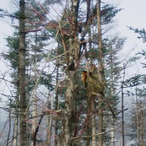 7.8K views | Seven Worlds One Planet | BBC Earth | Facebook