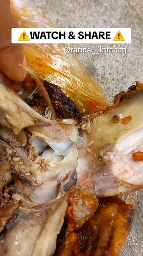 Beware of Rotten Chicken: Important Safety Tips