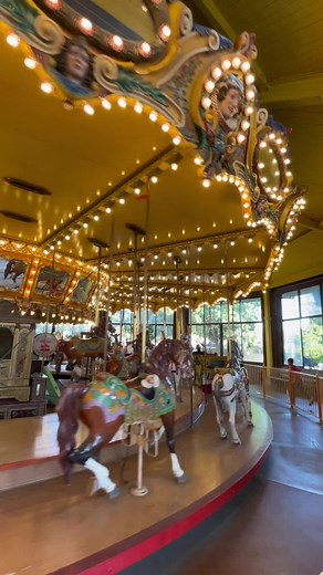 The Carousel is a timeless attraction that’s been around in the US since 1876. To this day it continues to find its way into nearly every themepark whether it be horses or magical creatures. Children and adults can both enjoy these classic attractions together. Location: Castle Park, CA #carousel #horses #horse #family #smile #kids #spin #spinning #merrygoround #attraction #rides #ride #amazing #beautiful #classic #classicrides #race #castle #elegant #gorgeous #rollercoaster #coasters #themepark