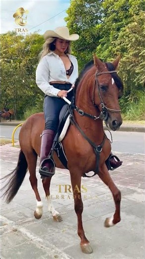 Beautiful women mastering horse riding with elegance, passion and a truly powerful presence 🐴