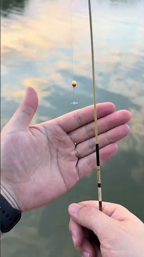 Fresh Air, Lake Breeze, and Micro Fishing 🎣 | The Perfect Outdoor Moment