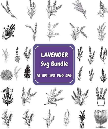 Lavender SVG, Lavender Flower SVG ,lavender Floral Clipart, Cricut Silhouette Vector, Floral Wreaths Bundle, Lavender Cut Files for Cricut. - Etsy