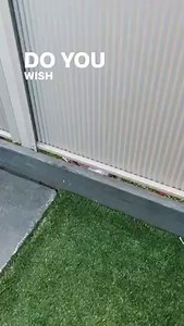 909K views · 28K reactions | IT’S TRUE.. we finally spoke to our 5yr old neighbour Harper about us eventually moving into our new family homes 凉 | Take Two | Facebook