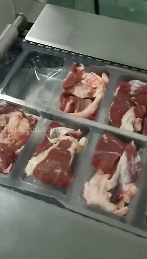 Meat thermoforming vacuum packaging machine