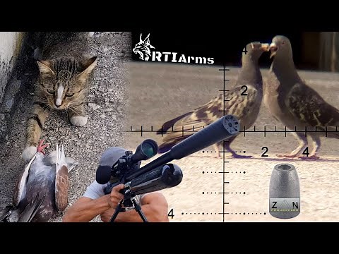 Shoot Pigeons with Slugs and the Prophet 2!