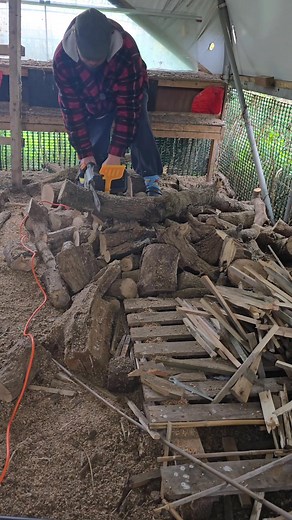 108K views · 1K reactions | my new wood cutting set up #woodcutting #chainsaw #battery #aferiy #homestead | Field to Farm | Facebook