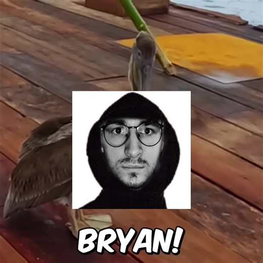 #THEBRIANMAPS |ТГК: kayrainbrianmaps. Барин. #брайнмапс #fypppppppppppppp #мем #on