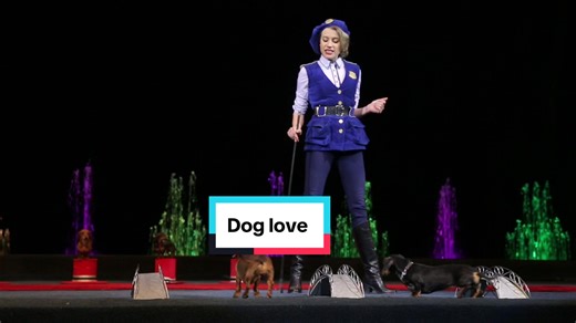 #topdoggermany #dogcircus #doglove #france #dogs