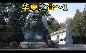 玄学鉴赏。真1、赝2、懵3、叩数飘屏耍啦哈… #传统文化 #古董 #鉴定