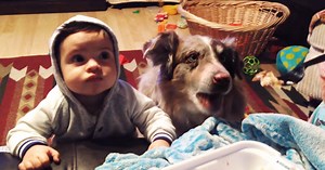 Mom Tries to Teach Baby to Say “Mama” But the Dog Says It Instead!