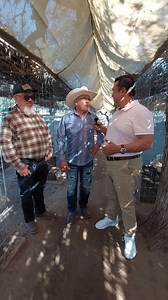 El es José Manuel Fung del Castillo y es Médico Veterinario, que desde hace años se dedica a la crianza de Gallos. Es reconocido a nivel nacional por sus gallos de entrenamiento. Esto y Más encuentras en Rioverde, La Capital Del Mundo #lacapitaldelmundo🌎 #rioverdeesdetodos🍊 #MasXRioverde | Arnulfo Urbiola