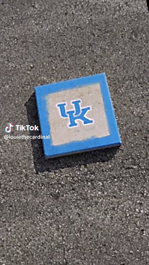 Louie The Cardinal on TikTok