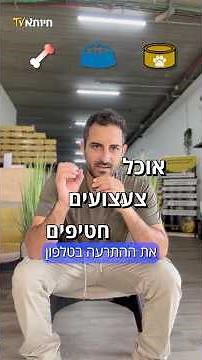 איך מרגילים גור למרחב מוגן? | חיותא TV