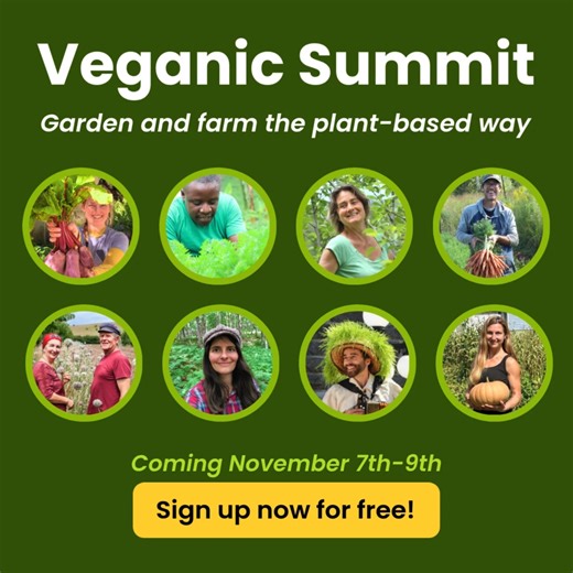 🥕 Increase your self-sufficiency using vegan organic gardening and farming techniques! https://veganicsummit.com/signup/ Join us at the Veganic Summit to learn how to: 🌱 Grow bountiful harvests using vegan techniques 🌱 Make your own fertilizer from high-nutrient plants 🌱 Regenerate soils with local plant materials 🌱 Grow legumes, grains, and plant-based protein 🌱 Improve the sustainability of your garden or farm All while connecting with a community of likeminded growers. Plus you'll have 