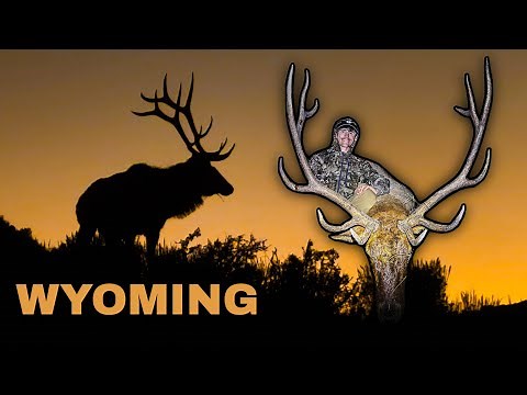 2025 WYOMING ARCHERY ELK HUNT